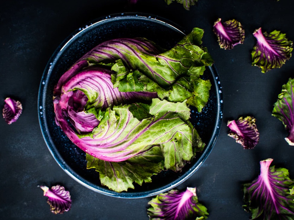 An overhead view of Radicchio lettuce in a bowl, with pieces of lettuce outside of the bowl